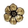 Button Apple Blossum - Brass Ox